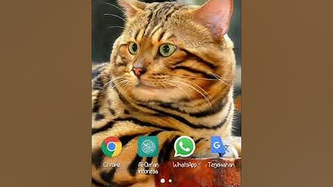 Setting KPN tunnel ultimate Direct ssh