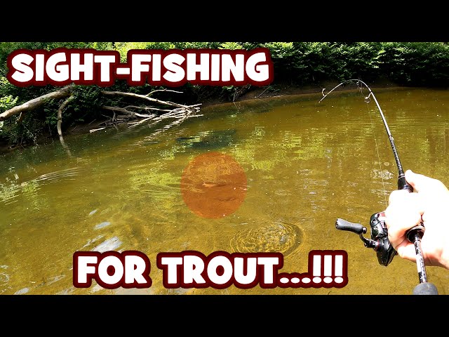 SIGHT-FISHING for CHROWT in a CLEAR CREEK...!!! | Pennypack Session class=