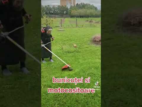 bunicuta si motocositoare