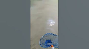 banjir membawa berkah🌊
