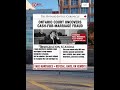 ONTARIO COURT EXPOSES SHOCKING CASH FOR MARRIAGE SCAM