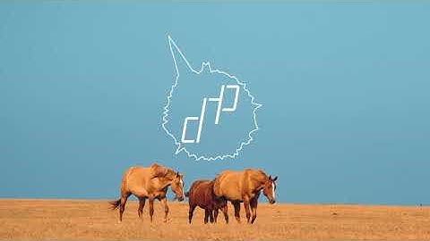 Boxplot - Escape with the Clouds VIP