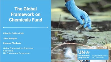 Info Session 1: Global Framework on Chemicals Fund for BRS Convention Parties & Regional Centers -R2