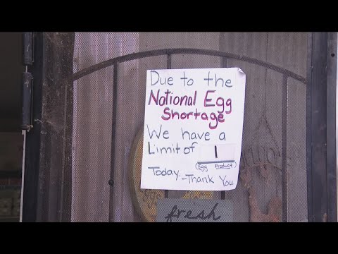 2:21 2:21 Now playing, Heres where to find the best egg prices in San Diego