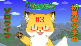 #3【Terraria】テラリア、テラリア、テラリア…【ちゅうけんぽちこう】