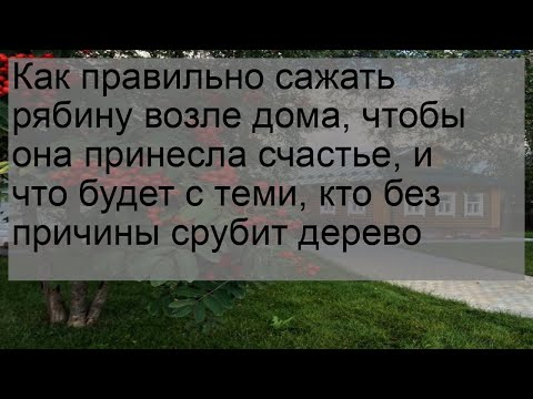 Как правильно сажать рябину возле дома, чтобы она принесла счастье, и что будет с теми, кто без пр.