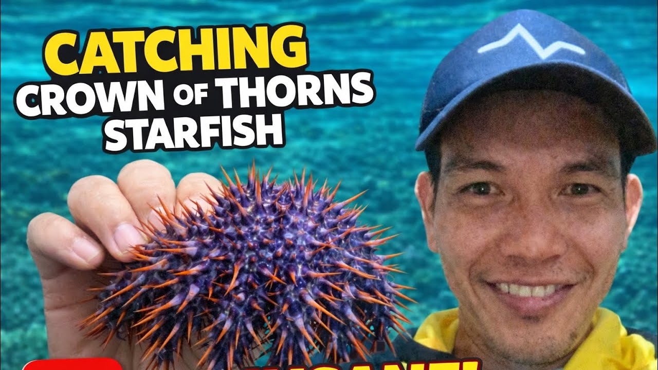 INSANE! I Caught the Most Dangerous Starfish in the Ocean 😱