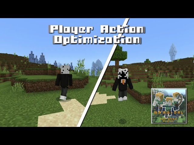 Player Action Optimization MCPE 1.19 