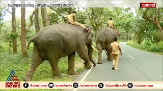 ജോലി ആനപ്പാപ്പാൻ, പക്ഷേ പരീക്ഷയിൽ ആനയെ കുറിച്ച് ഒരു ചോദ്യവുമില്ല!