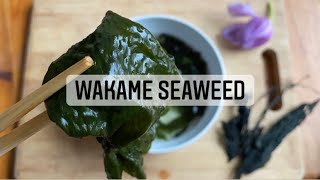 How to make WAKAME in 30 minutes | dried seaweed | healthy | asmr