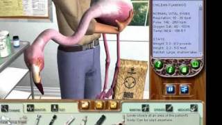 Exclusive Zoo Vet Walkthrough Part 2: Case 1 Profile