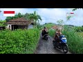 village life in indonesia, rural village life in indonesia walking 4k,