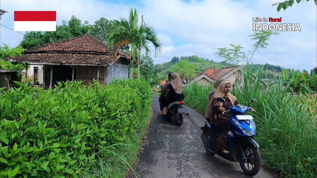 village life in indonesia, rural village life in indonesia walking 4k,