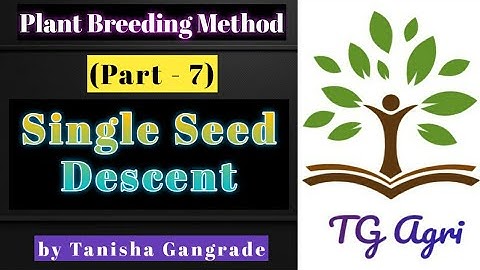 Single seed descent method | SSD method | Plant breeding method by Tanisha Gangrade