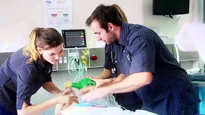 Bachelor of Nursing Trimester 2 intake TVC