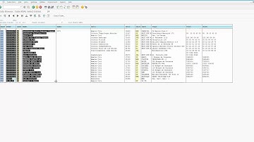 SAP User Basics: Copy Data - Video 9