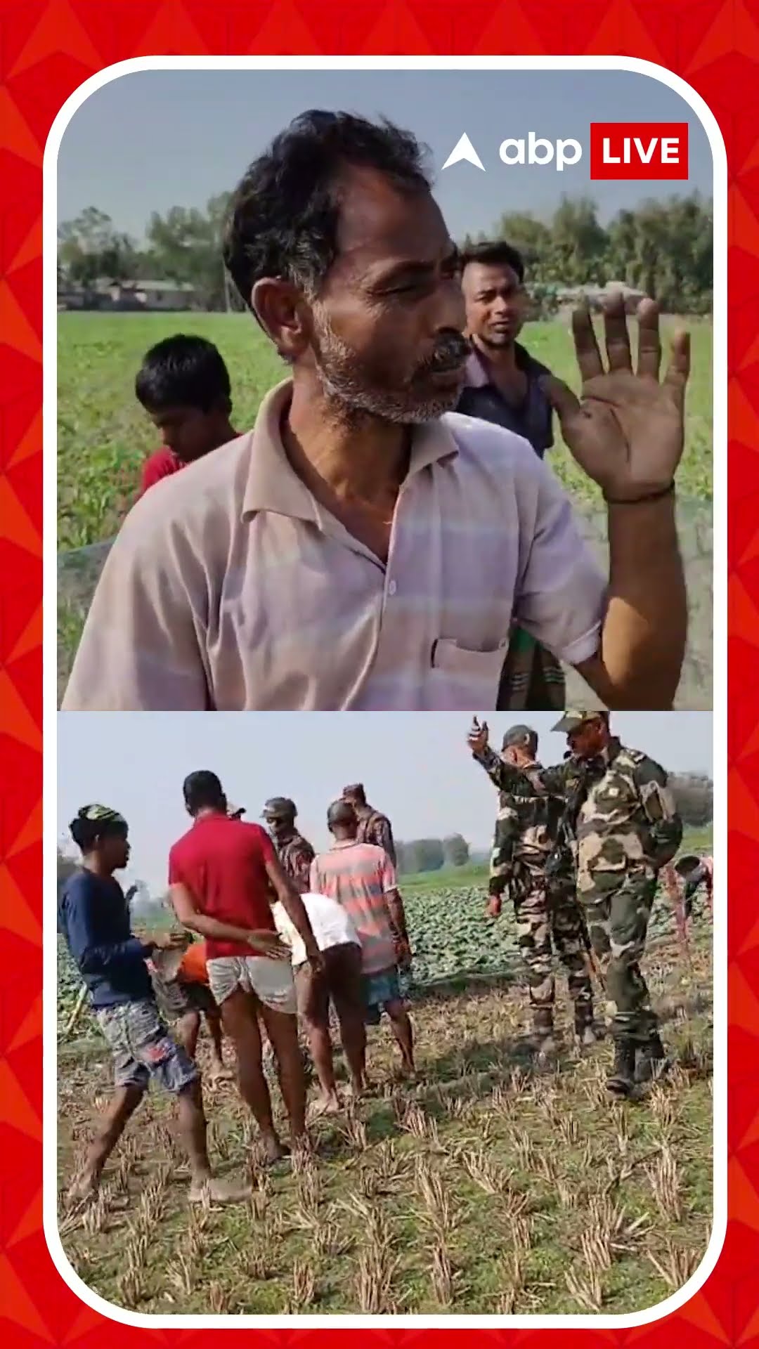 'রাতে গরু নিয়ে চলে যায়, ওরা সুবিধাবাদী', বাংলাদেশি প্রসঙ্গে বললেন সীমান্তের বাসিন্দা