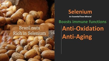 Selenium (Se) | Boost Immune Function | Anti-aging & Anti-oxidation