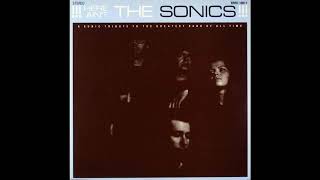 Various - !!!Here Ain't The Sonics!!! (1989, Popllama/Estrus Records)