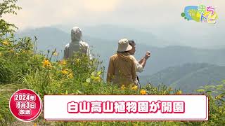 【はくさん情報まちトピ】白山高山植物園開園（2024年6月放送）