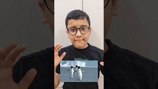 Why penguins cant fly #shortsfeed #penguinshorts #learnonshorts #knowledgenuggets #trendingshorts