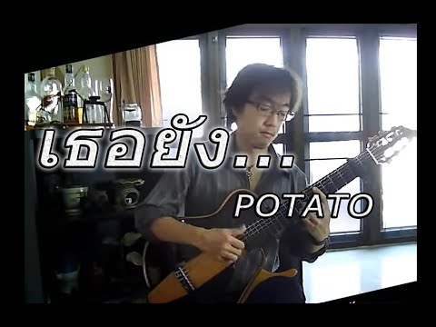 เธอยัง... POTATO / Fingerstyle Solo Guitar / by Nobu