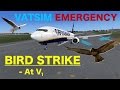 Bird Strike | VATSIM Emergency Ep. 3 | PMDG 737NG