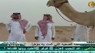 لقاء مسلط بن شعيفان رحمه الله يتحدث عن بعيره المتحد 2009