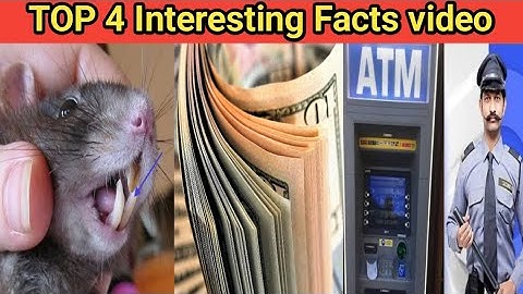Top 4 Interesting Facts 🤔। Random facts। Amazing facts video। #youtube_short_video #shorts #facts