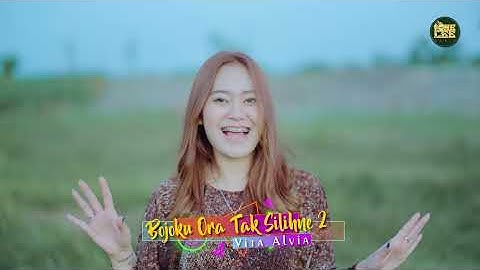 Vita Alvia - Bojoku Ora Tak Silihne 2 (DJ Remix)