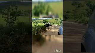 O que fazer em Aldeia Velha RJ?