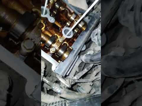 Vortex. Черри. вортекс метки грм.