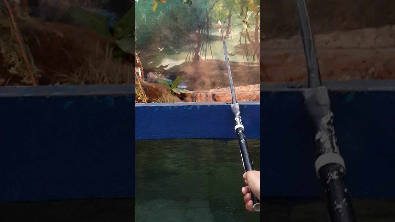 The Best Snipers its Archer Fish on TMII Jakarta YouTube