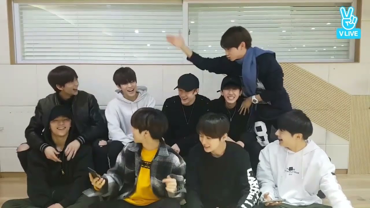 𝐒𝐭𝐫𝐚𝐲𝐊𝐢𝐝𝐬 𝐕𝐋𝐈𝐕𝐄🧭