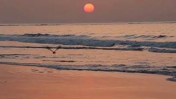 مؤيد المزين | ماتيسر من سورة مريم | تلاوه هادئه وموريحه للاعصاب |