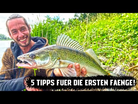 Video: Die Fischer Machten Einen Köder Aus Der Asche Eines Freundes Und Fingen Einen Fisch Mit Einem Gewicht Von 80 Kg - Alternative Ansicht