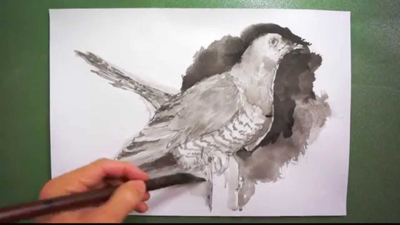 筆のイラスト描き方 絵の上達法を実演解説 カッコウ How To Draw Common Cuckoo Youtube