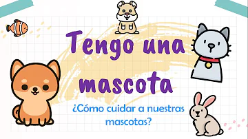 ¿Qué es una mascota fácil y de bajo mantenimiento?