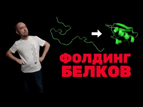 Что такое фолдинг белков? Душкин объяснит