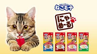 ねこモテにゃめーる 60秒　|アース・ペット