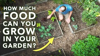 See How MUCH You Can Grow in a Family Garden!