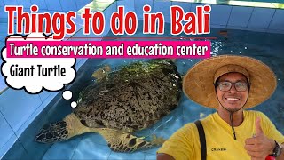 Turtle conservation and education centre Bali