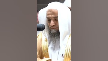 تلاوة مرئية | ما تيسر من سورة الزمر | الشيخ فيصل غزاوي