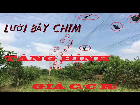 Video Lưới Bẫy Chim Tàng Hình Cước Thái Lan. Lưới Bẫy Chim... - youtube