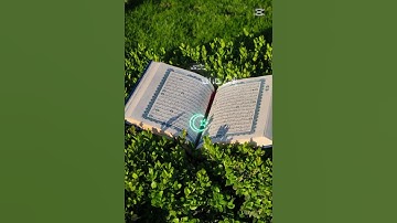 #المصحف #الرحمن #تلاوة_خاشعة 💗