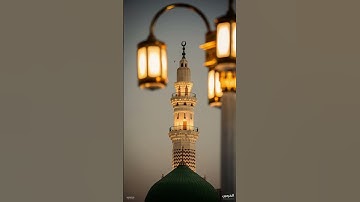 #الفرقان #سورة_الفتح #ماهر_المعيقلي #explore #اكسبلور #القزابري #لايك #المصحف #duet #القارئ