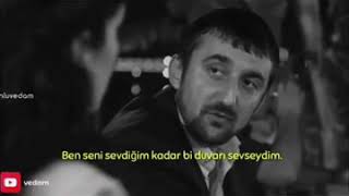 Seni Sevdiğim Kadar Duvarı Sevseydim Şimdiye Çiçek Açardı