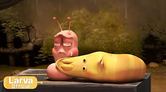 LOVE| Animation Compilation | Larva Tuba | Official thumbnail