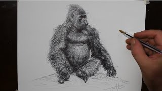 Amazing Gorilla Scribble Art Drawing with a Biro Pen