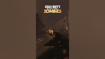 Most annoying thing in COD Zombies 👎